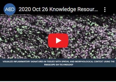 2020 Oct 26 - Knowledge Resource Series - Inflammation Applications